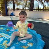 Leport Montessori Irvine Westpark Photo #14