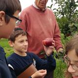 The Jewish Academy of Suffolk County Photo #2 - School trip to Wickham Farm to integrate the literacy, Judaics, and science curriculums.