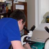 Northbridge Christian Academy Photo #2 - Biology class involves hands-on experiments and dissections.