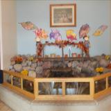 Bellevue KinderCare Photo - Lobby for Fall