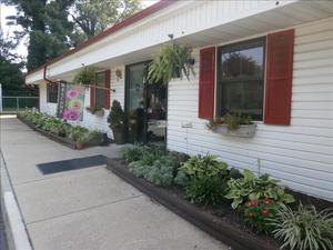 Chester KinderCare Photo
