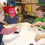 Telegraph Road KinderCare Photo #8 - Discovery Preschool class exploring dirt in the Spring.