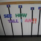 St. Joseph KinderCare Photo #7 - Our discovery preschool class learing how to measure how tall they are.