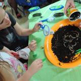 Timber Forest KinderCare Photo #6 - Science Night: Exploring nature