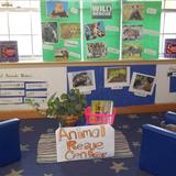 Spring Branch KinderCare Photo #8 - Prekindergarten Classroom Dramatic Play Center-Theme: Wild Animals