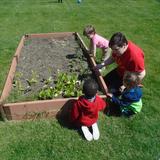 Fairview KinderCare Photo #5 - Toddlers roaming through the garden learning about plants and growing food