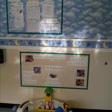 Dorscher KinderCare Photo #3 - Infant Classroom