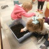 Fenton KinderCare Photo #7 - Helping plant the toddler garden.