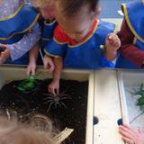 Westlake KinderCare Photo - Our Discovery Preschool children exploring soil in the sensory table.