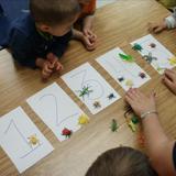 Wildflower Lane KinderCare Photo #4 - Counting insects in the Discovery Preschool room