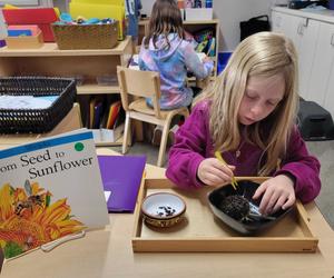 Cambridge Montessori School Photo