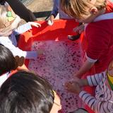 Calvary Chapel Schools Preschool-Highschool Photo