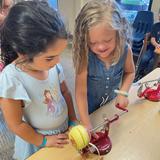 Christian Montessori Academy Photo #22 - As a practical life skill, two students work together to peel and cut an apple in preparation for an apple pie.