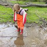 Potomac Crescent Waldorf School Photo #9 - We believe that time outdoors and a connection to nature is healthy and important to the development of a child.