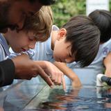 St. James' Episcopal School Photo #3 - St. James' students actively engaged in a special visit from the Aquarium of the Pacific.