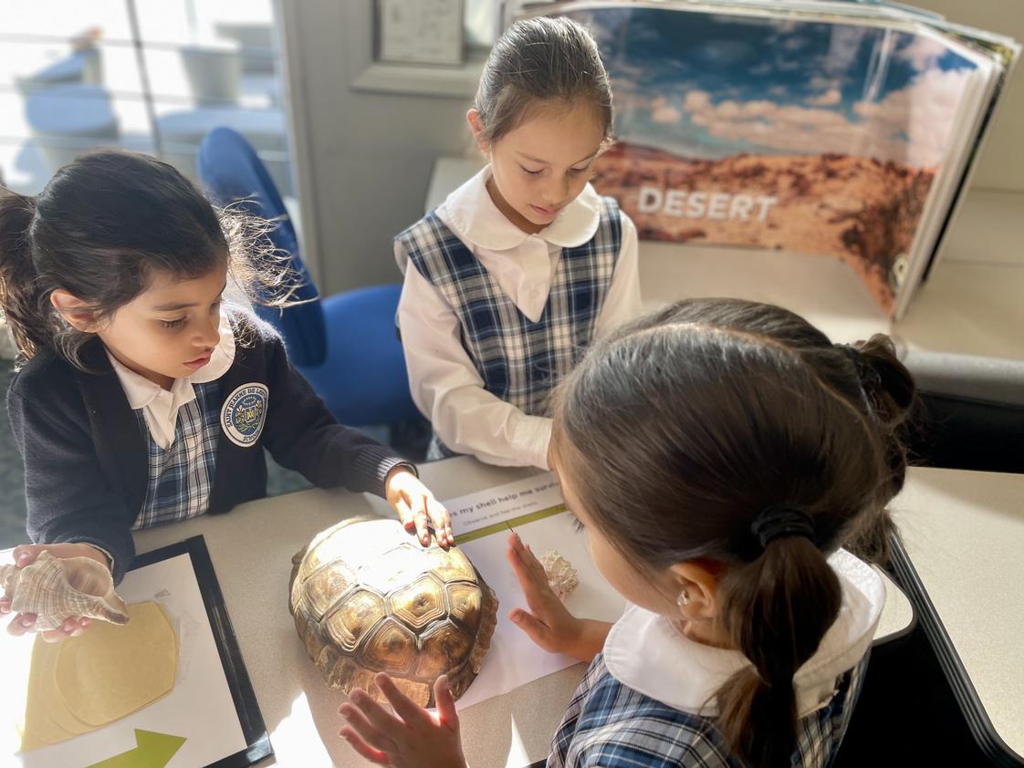 Saint Jeanne De Lestonnac School - Tustin Photo #1 Saint Jeanne De Lestonnac School - Tustin Photo #1