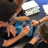 St. Lucy School Photo #9