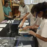 St. Paul The Apostle Photo #1 - Dissection