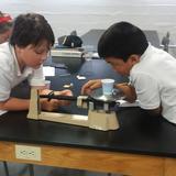 St. Vincent De Paul Catholic School Photo #7 - Learning in the science lab