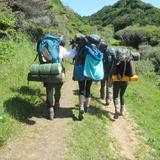 Summerfield Waldorf School & Farm Photo #2 - Our High School students engage in comprehensive study of a variety of disciplines, as well as developing community through annual Open Week and Class trips and other exciting offerings. While the four years of high school together form an integrated whole, the curriculum of each grade is tailored to address key stages in adolescence.