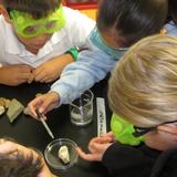 Hilldale School Photo #2 - Hands-on Science is an important part of the Pre-K through Middle School curriculum.