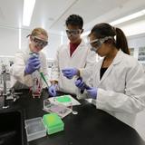 The Webb Schools Photo #3 - Webb's science facilities include state-of-the-art labs.