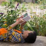 Meher Schools Photo #1 - A student reads a book in our 3/4 acre organic 7-Circles Garden. Elementary students attend gardening class once a week and help compost, prepare soil, weed, plant, and harvest.