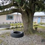 Montessori School Of East Orlando Photo #6 - Tire Swing/Front of school