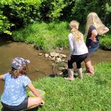 Center Grove Montessori Photo #4