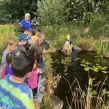 The Pinecroft School Photo #8 - Our K-2 students enjoying a field trip to the Audubon Society.