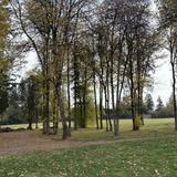 Cedar Tree Classical Christian School Photo #12