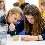 Cedar Tree Classical Christian School Photo #5