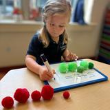 Carrington Academy Windermere Photo #8