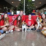 Greenbrier Academy for Girls Photo #2 - Operation Underdog Animal Rescue Program