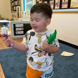 Discovery Isle Child Development Center Photo #9