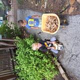 St. Paul's Episcopal Montessori School Photo #6 - Gardening