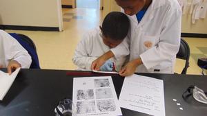OMNI International School Photo