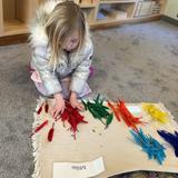 Chestnut Montessori School Photo #6