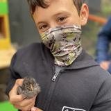 Point Dume School Photo #3 - Raising Chicks at Farm Friday Experiential Learning