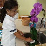Monarch Christian Montessori Photo #4 - Taking Care of Environment