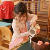 Montessori East Photo - Practical Life - Flower Arranging