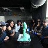 BASIS Independent Brooklyn Photo #7 - Middle school students build a strong scientific foundation by studying biology, chemistry, and physics concurrently through three distinct science courses.
