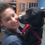 Crossroads School Photo #4 - Therapy dog, Rumba, connects with students at Crossroads School every day.