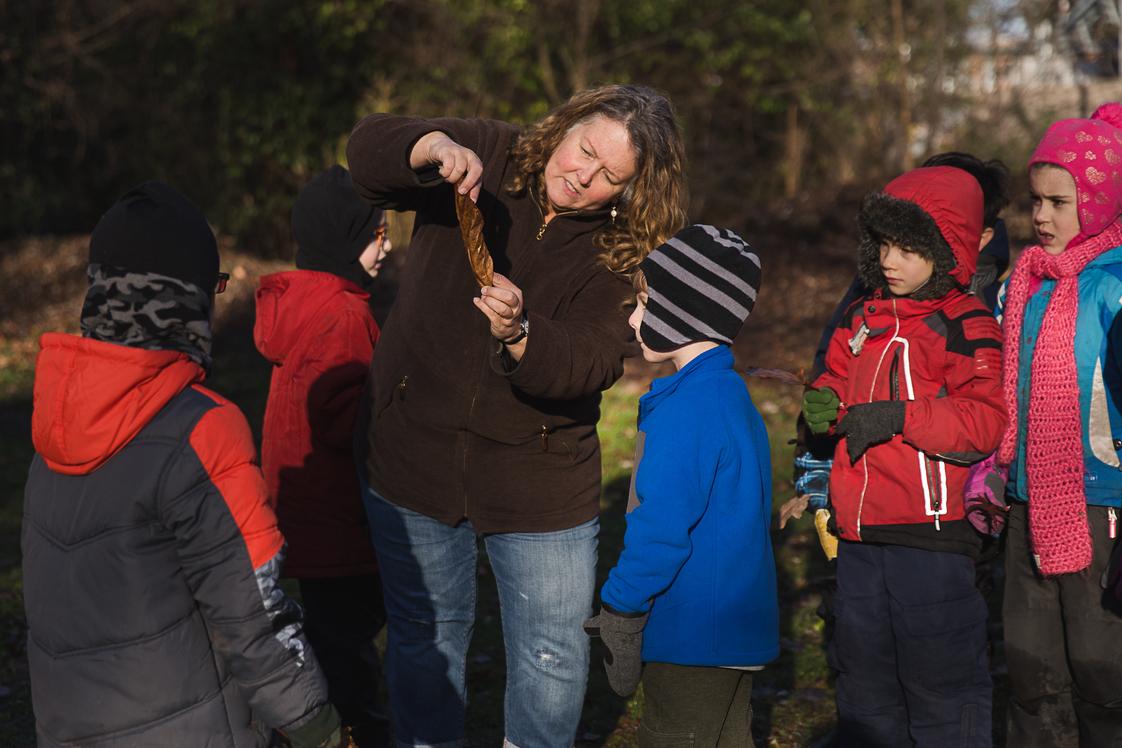 Prairie School of DuPage Photo #1 - A teacher points out the details in a leaf during morning outdoor observations.
