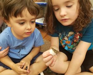 Creative Minds Montessori School Photo