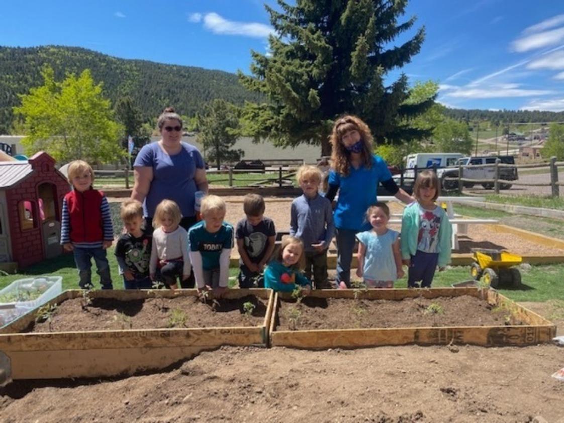 Aspen Park iMontessori Photo #2 - Spring Planting for Tomatoes