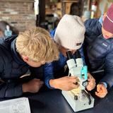 Telluride Mountain School Photo #6 - Telluride Mountain School students thrive in child-centered multi-age classrooms. Students master the skills, habits, and attitudes necessary for succeeding in a challenging academic environment.
