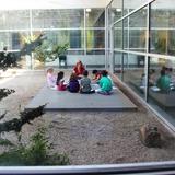 Fraser Woods Montessori School Photo #3 - Taking the classroom outdoors to the Zen Garden