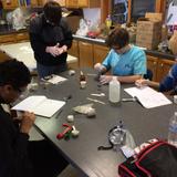 NCCL School (Newark Center for Creative Learning) Photo #7 - Middle School Science