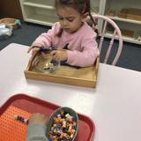 Montessori School Of Washington DC Photo #5 - Practical Life